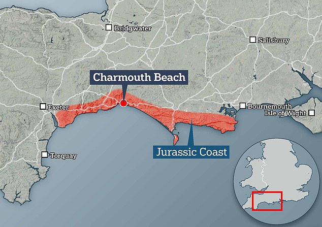 Charmouth liegt an Englands berühmter Juraküste – daher die Konzentration prähistorischer Funde
