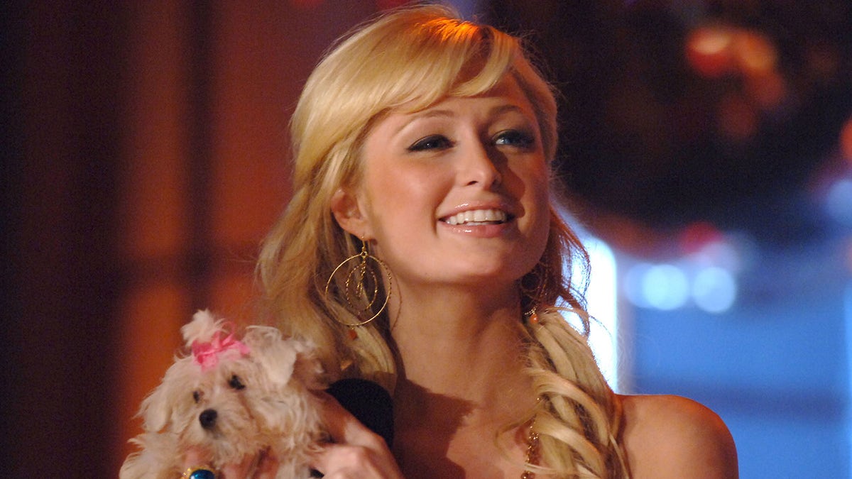 Paris Hilton lächelt, während sie einen Welpen hält, der eine rosa Haarschleife trägt