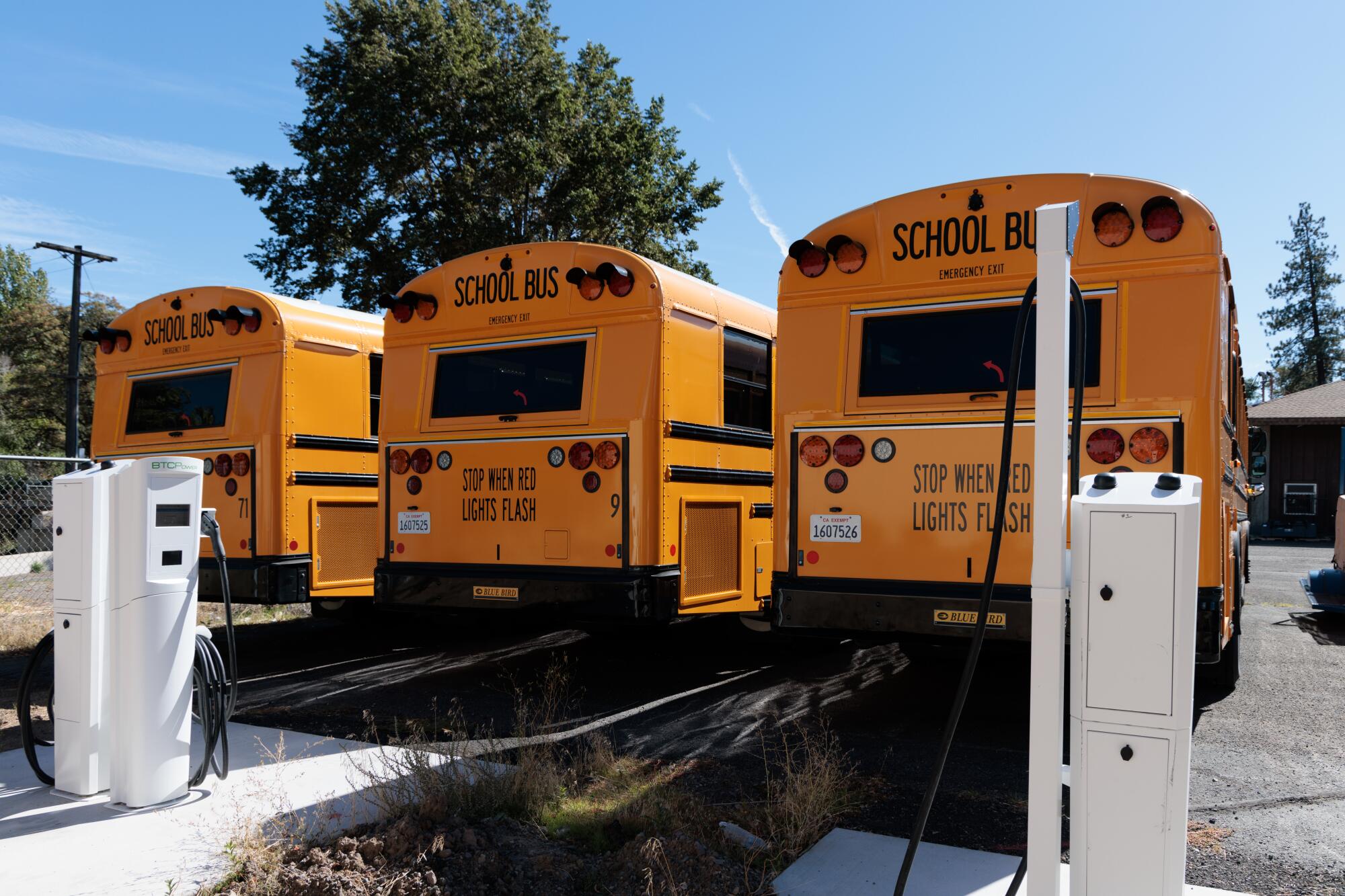 Drei gelbe Schulbusse parken hinter zwei weißen, kurzen, vertikalen Strukturen mit befestigten Schnüren.