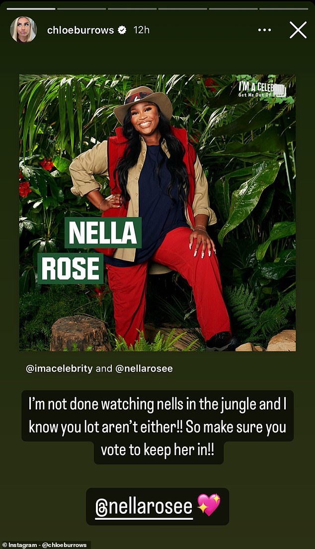 Chloe rief ihre Follower in ihrer Instagram-Story dazu auf, für Nella zu stimmen, indem sie sagte: „Ich bin noch nicht fertig damit, mir Nellas (sic) im Dschungel anzuschauen, und ich weiß, dass ihr das auch nicht tut!!“
