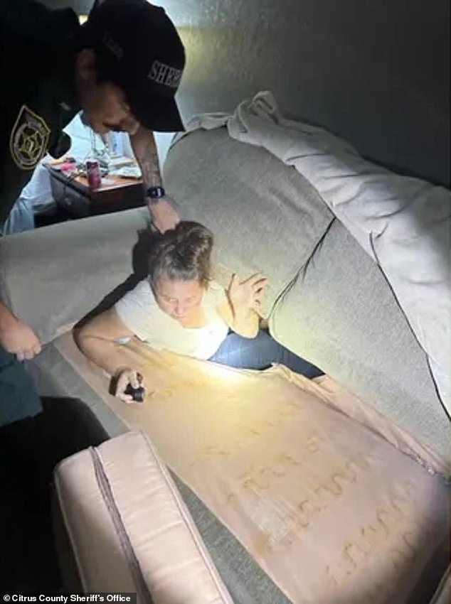 Ein Flüchtling aus Florida wurde von der Polizei versteckt in einer Couch aufgefunden, nachdem er wochenlang wegen eines Verstoßes gegen die Bewährungsauflagen auf der Flucht war