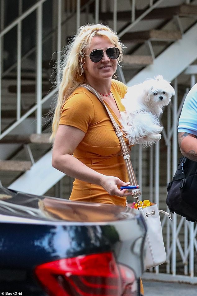 Britney schien in Hochstimmung zu sein, als sie lächelte und in einem leuchtend orangefarbenen Kleid mit Beinschlitz und lässigen Lederstiefeln herauskam, während sie ihr entzückendes Hündchen Snow auf den Armen trug