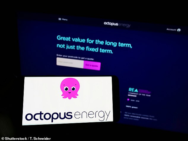 Für die Version des DFS-Programms von Octopus mit dem Namen „Saving Sessions“ sind mittlerweile eine Million Kunden angemeldet