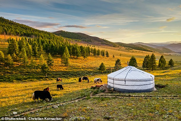Maureen Paton reist in die Mongolei, ein Binnenland zwischen Russland und China.  Oben ist ein Ger zu sehen, der eine gemeinsame Behausung für die Nomadenbevölkerung des Landes ist
