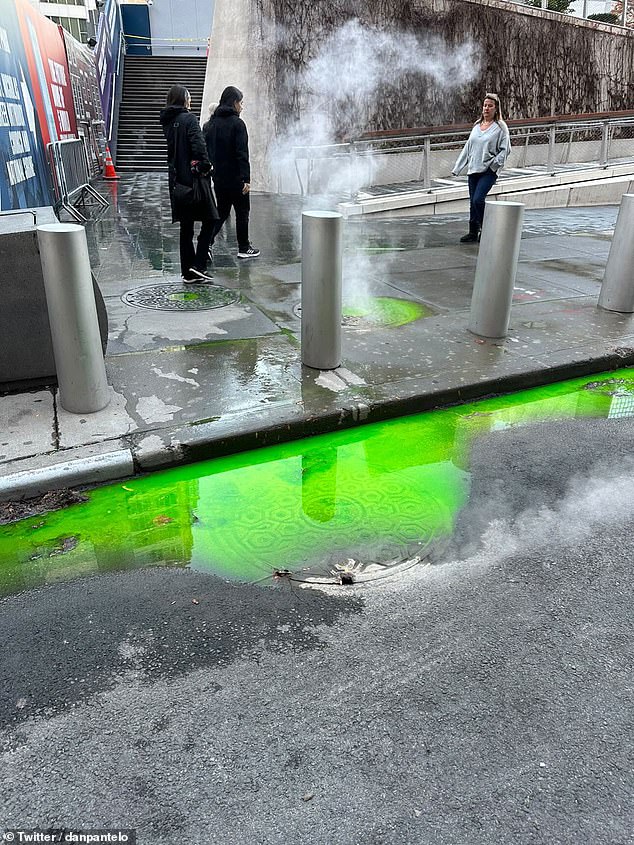 Dan Pantelo aus New York hat die Bilder des grünen Schlamms aufgenommen, der auf der Straße fließt
