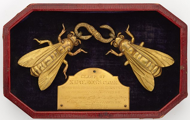 Besucher von Levens Hall können ihren Blick auf „eine Bienenspange (im Bild) werfen, die den Umhang, den Napoleon vor Waterloo trug, schloss und schmückte“.