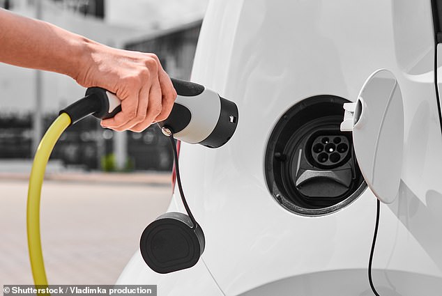 Führend: Mehrere Energieunternehmen bieten wieder attraktive Angebote für das Laden von Elektrofahrzeugen an
