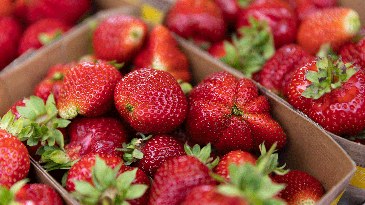 Erdbeeren in Kisten