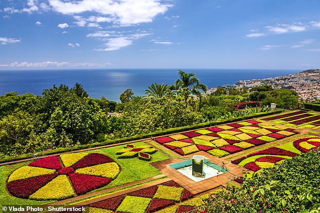 „Verpassen Sie nicht den Botanischen Garten von Madeira (oben) mit seinen Orchideen und exotischen Bäumen“, schreibt Harriet