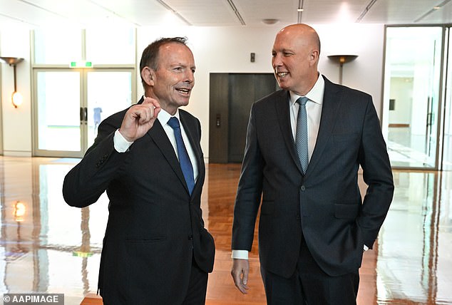 Wie Herr Abbott hat sich Dutton als der „harte, grenzüberschreitende“ alternative Premierminister positioniert, der das Dilemma im Alleingang lösen könnte, sollte er die Chance dazu bekommen