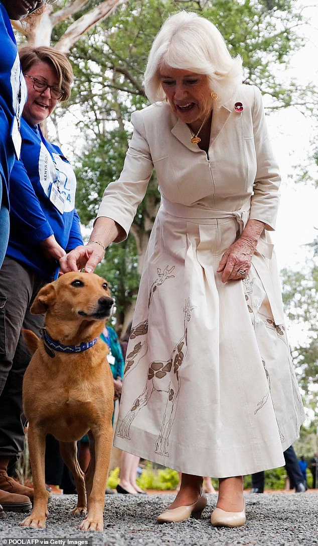 Camilla, die auch eine große Hundeliebhaberin ist und selbst zwei Tierrettungen hatte, konnte nicht widerstehen, sich zu beugen, um sie zu streicheln
