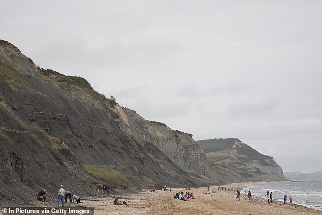 Charmouth Beach in Dorset wurde von Lonely Planet als der beste Strand der Welt ausgezeichnet, den man im Winter besuchen kann