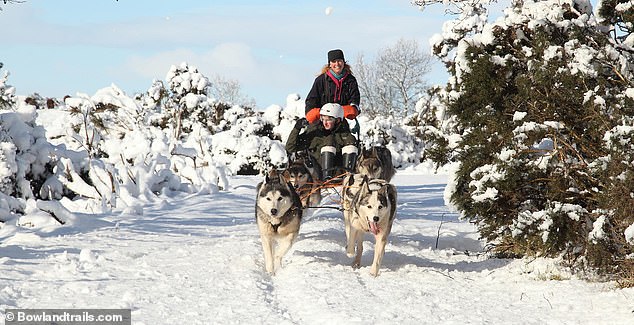 Für eine Husky-Schlittenfahrt müssen sich die Briten nicht in den Norden des Polarkreises begeben.  Es wird bei Bowland Trails in Perthshire angeboten (oben)