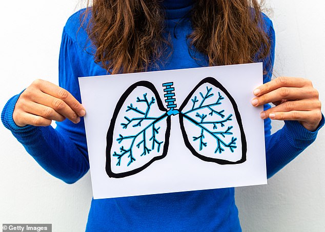 Der Mensch atmet täglich schätzungsweise 25.000 Mal mit der Lunge
