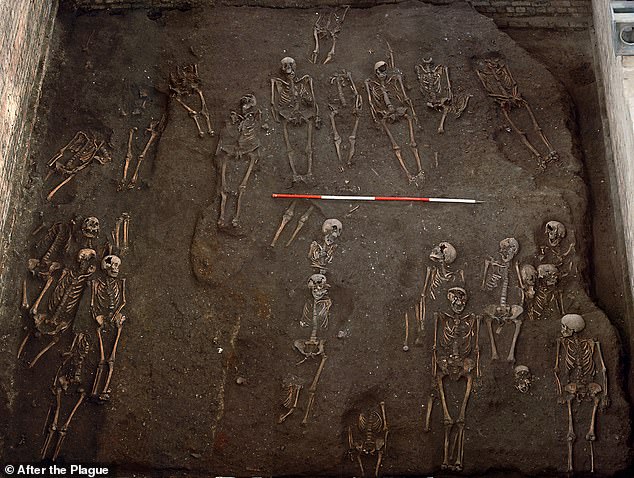 Archäologen analysierten mehr als 400 menschliche Überreste, die auf dem Hauptfriedhof des Krankenhauses St. John the Evangelist in Cambridge ausgegraben wurden, und zeigten, dass die dort begrabenen Personen aus den unterschiedlichsten Verhältnissen stammten – von Gelehrten bis hin zu Waisenkindern