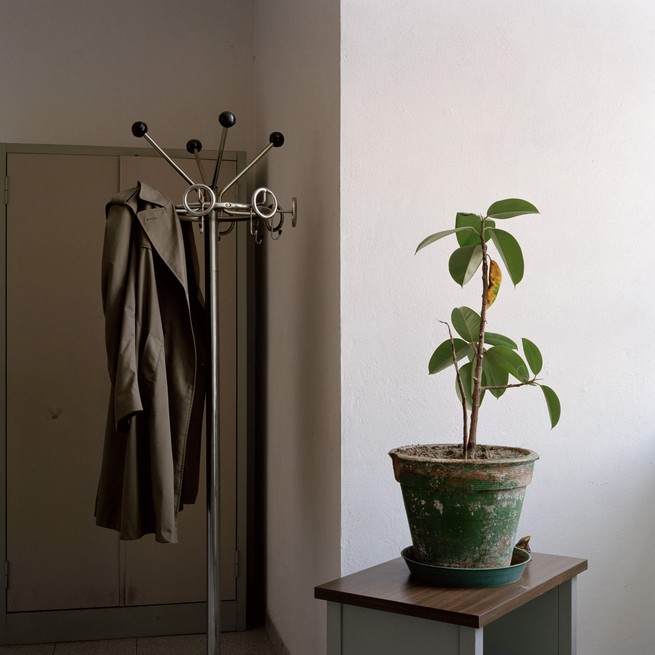 Ein Mantel auf einem Kleiderbügel neben einer Pflanze