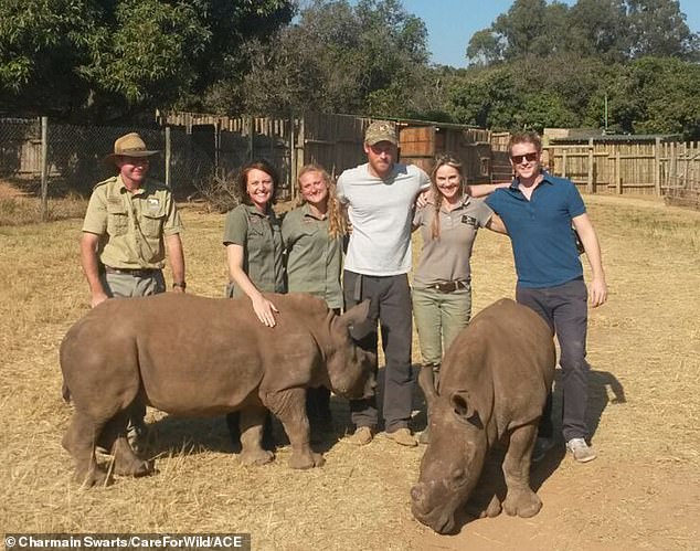 It comes as tensions are already high between Harry and William. Pictured: Prince Harry (third from right) visits the Khulula Care for Wild Centre in South Africa in 2015 with Grosvenor (right)