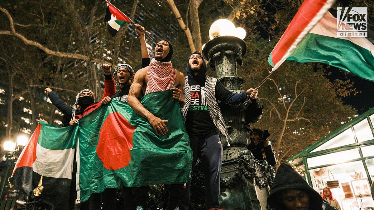 Pro-palästinensische Demonstranten marschieren in New York City