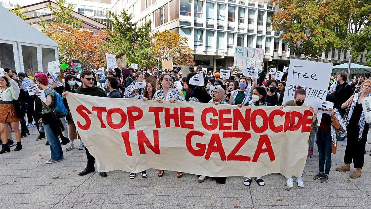 Harvard-Demonstranten halten ein Schild mit der Aufschrift „Stoppt den Völkermord in Gaza“