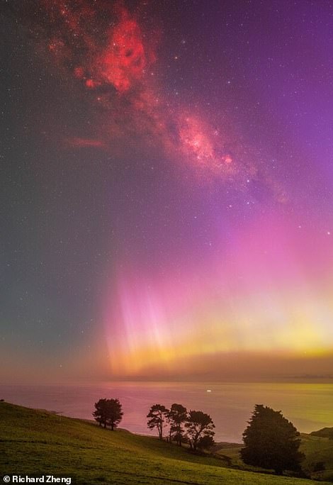 Richard Zheng snapped this eye-catching shot on New Zealand's Dunedin Peninsula