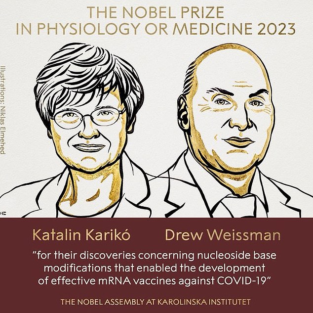 Katalin Karikó (links) und Drew Weissman (rechts) wird zugeschrieben, dass sie dazu beigetragen haben, den Verlauf der Pandemie zu ändern.  Bevor mRNA-Impfungen an Millionen von Menschen weltweit verabreicht wurden, um sie vor Covid zu schützen, galt diese Technologie als experimentell.  Forscher untersuchen nun, ob es helfen könnte, Krebs und andere Krankheiten zu besiegen