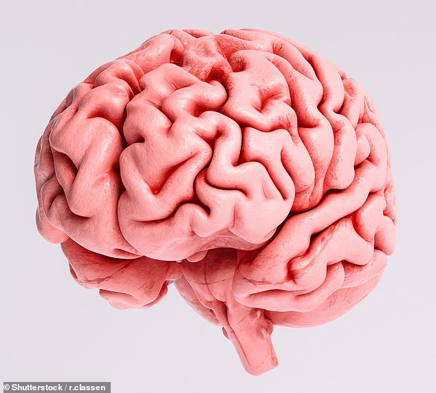 Eine verringerte Sauerstoffversorgung des Gehirns könnte sich möglicherweise auf die Stimmung und die psychische Gesundheit auswirken und Menschen noch mehr gestresst machen (Stockbild)