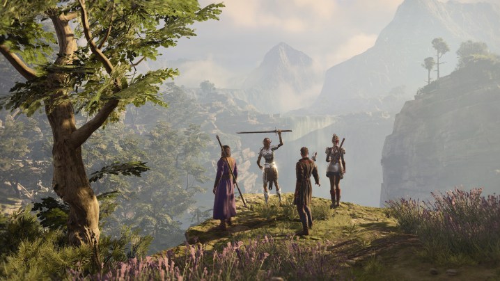 Eine Gruppe von Helden steht auf einer Klippe in Baldur's Gate 3.