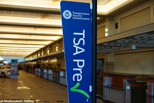 Reiseprofis empfehlen, sich bei TSA PreCheck oder CLEAR anzumelden, um die Warteschlangen an stark frequentierten Flughäfen zu umgehen