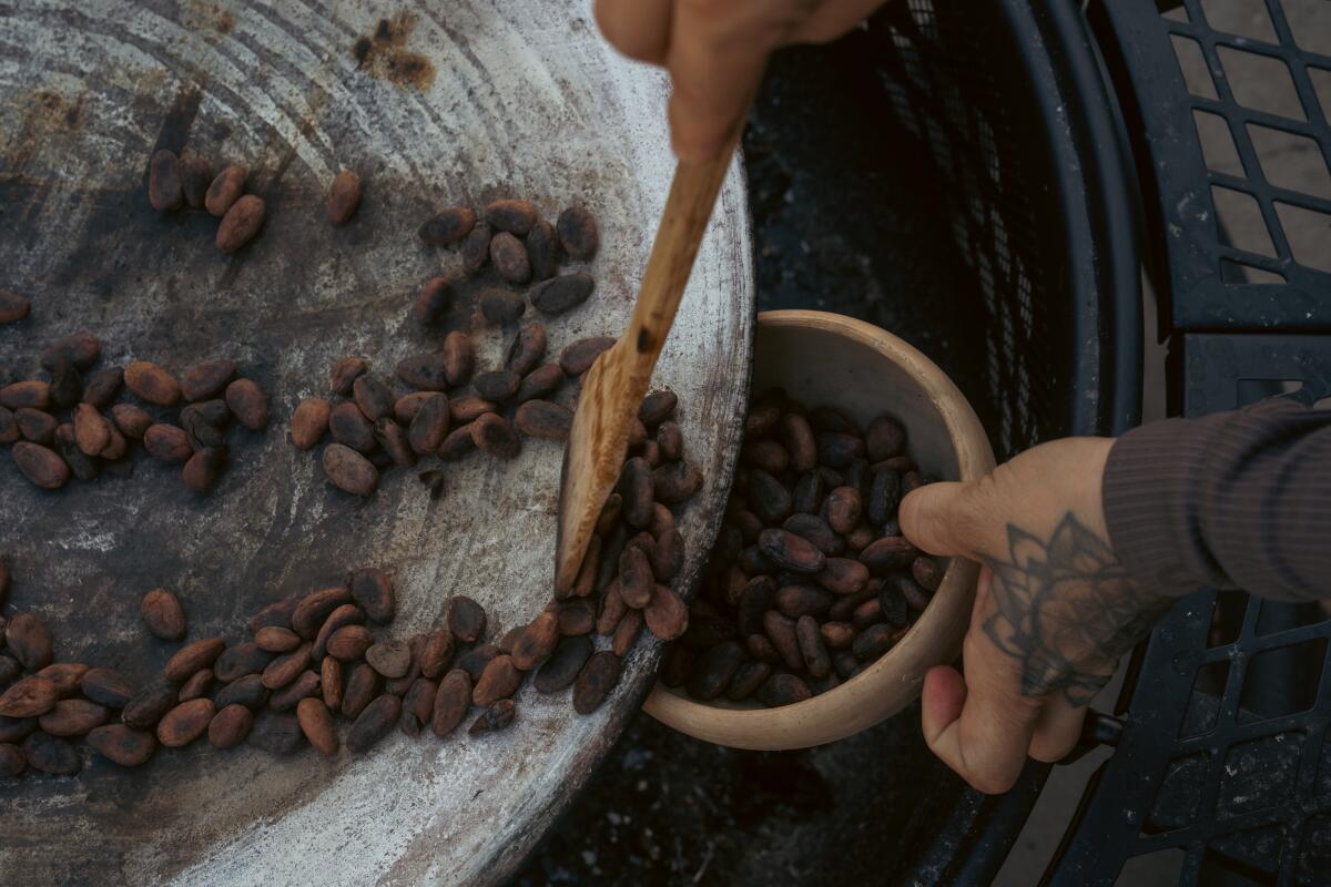 Der Prozess der Kakaozeremonie von Villegas wird auf vier Fotos gezeigt