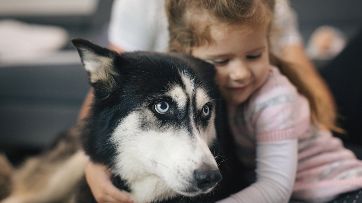 Umarmung eines kleinen Mädchens mit einem Hund