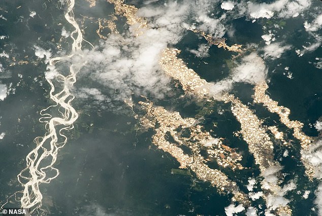 In mid-2023, Peru's Environmental Prosecutor's Office reports that they destroyed 110 illegal gold dredges and 10 criminal mining camps. In 2020, a NASA astronaut was able to snap pics (above) of Peru's glittering (but illegal) gold pits while on board the International Space Station