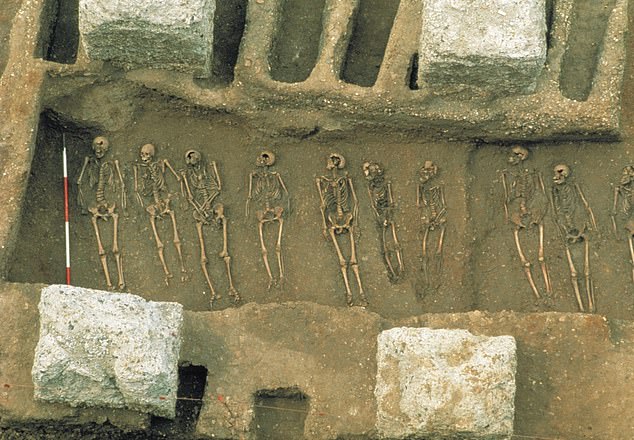 Abgebildet sind Überreste von Menschen, die in den Pestgruben von East Smithfield in London begraben wurden, die 1348 und 1349 für Massenbestattungen genutzt wurden
