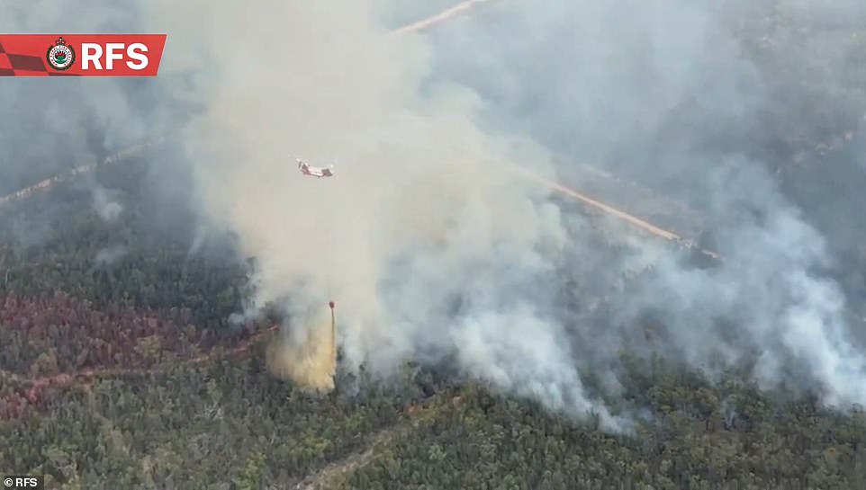 Das Buschfeuer im Pilliga Forest hat mehr als 130.000 Hektar Fläche niedergebrannt