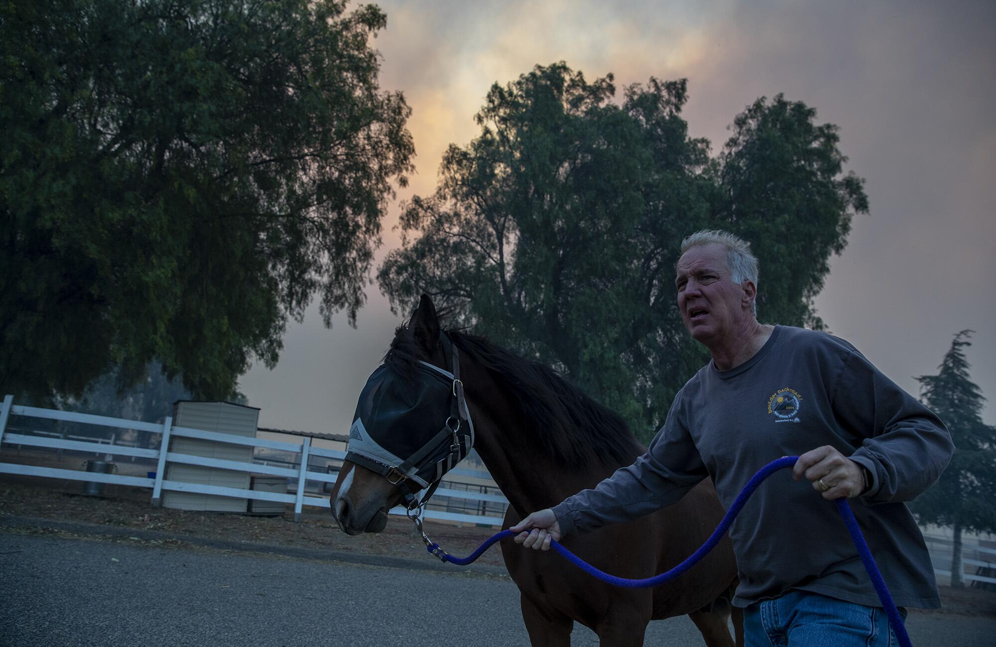 Ein Mann flieht mit einem Pferd, während die Castle Rock Farms evakuiert werden, während Feuerwehrleute 2019 im Simi Valley gegen das Easy-Feuer kämpfen.