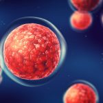Risiken bei Stammzelltransplantationen werden durch Stammzelltherapien gemindert