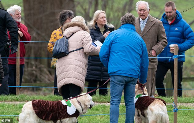 The monarch couldn't hide his interest after spotting the pair of doggies in festive fancy dress