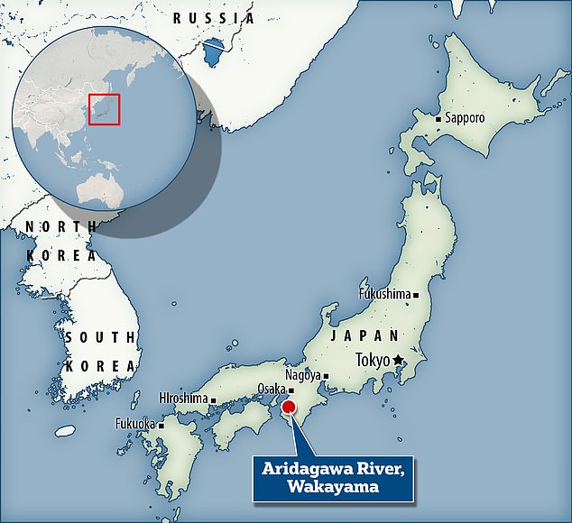Wissenschaftler haben eine riesige prähistorische „Drachen“-Eidechse in der Nähe des Flusses Aridagawa in der japanischen Präfektur Wakayama entdeckt