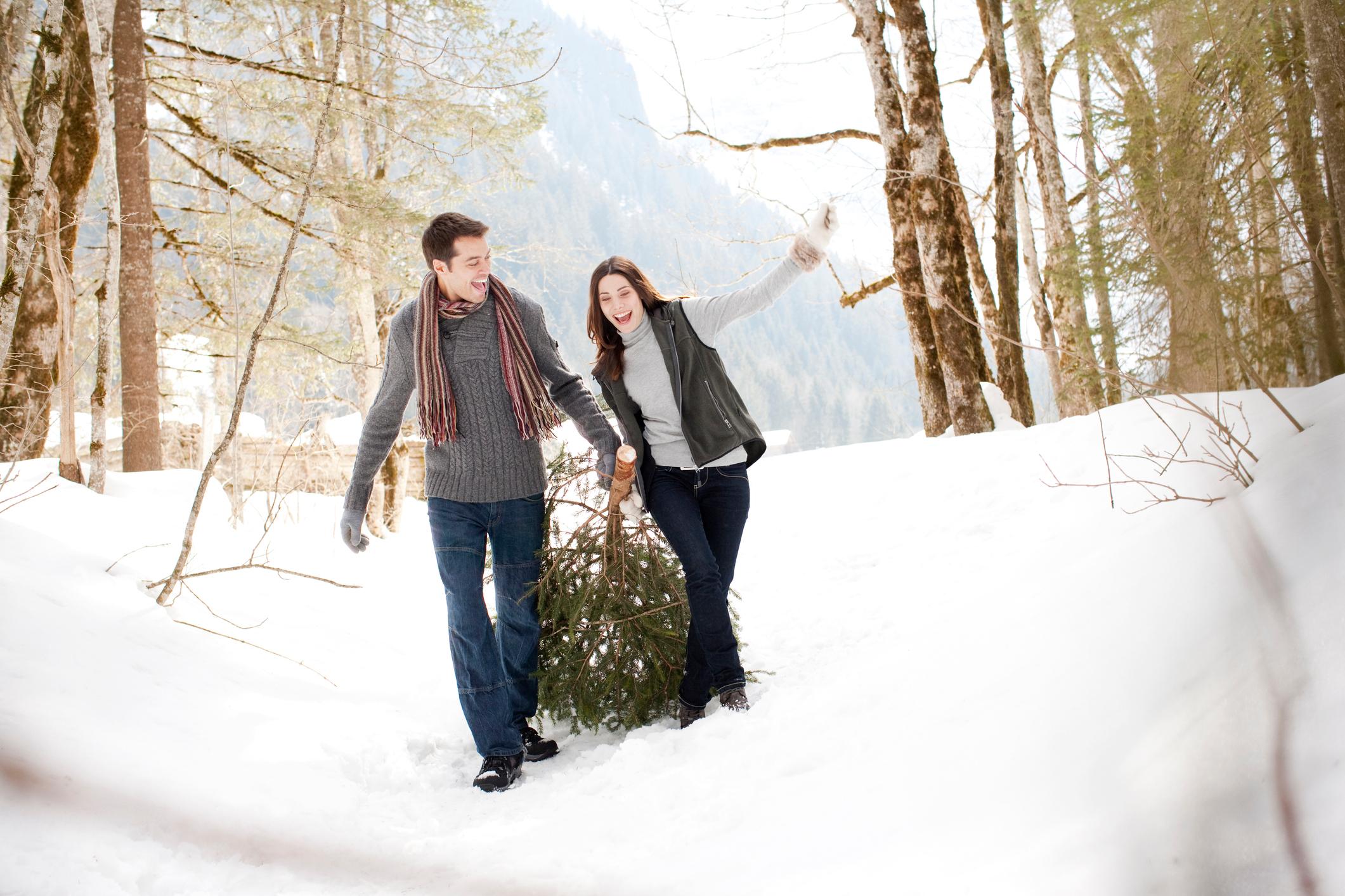 Paar zieht Weihnachtsbaum durch Schnee