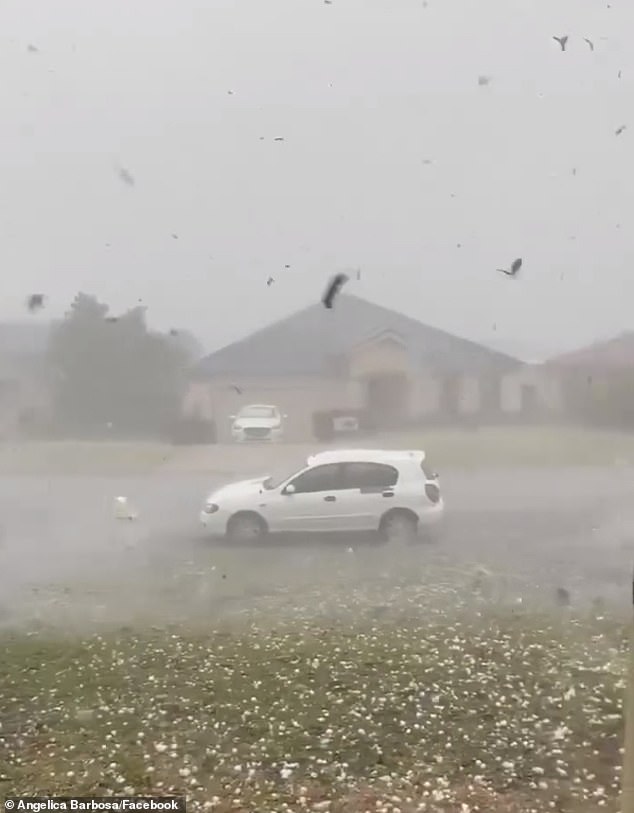 Hailstones along with damaging winds and heavy rain hit several towns (Rutherford, pictured) across NSW with the wild weather making it's way to Sydney