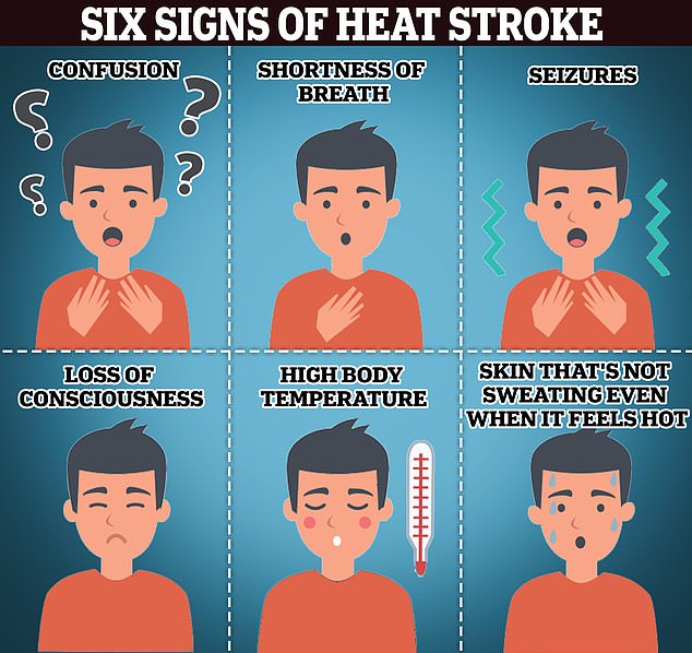 Hitzeerschöpfung ist die Reaktion des Körpers auf übermäßigen Wasser- und Salzverlust.  Dies kann zu einer Belastung des Herzens führen, das einen durch Dehydrierung und hohe Innentemperaturen verursachten Blutdruckabfall ausgleichen muss