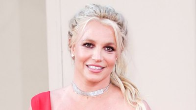 Britney Spears Family Members Ein umfassender Leitfaden