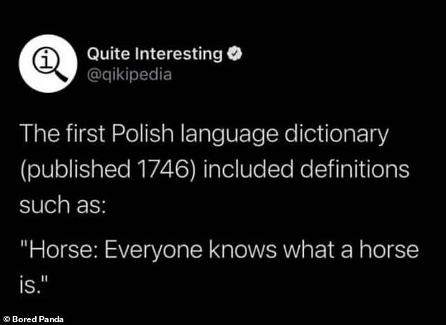 Beleidigen Sie nicht die Intelligenz von irgendjemandem!  Der Autor des ersten polnischen Wörterbuchs war der Meinung, dass ein Pferd keiner Erklärung bedarf