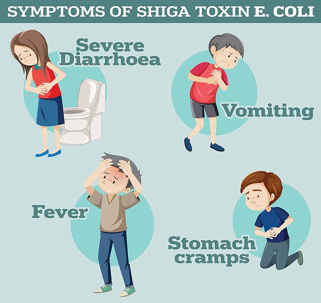 Zu den Symptomen von Shiga-Toxin produzierendem E. coli gehören laut der britischen Gesundheitsbehörde Health Security Agency schwerer Durchfall und Erbrechen