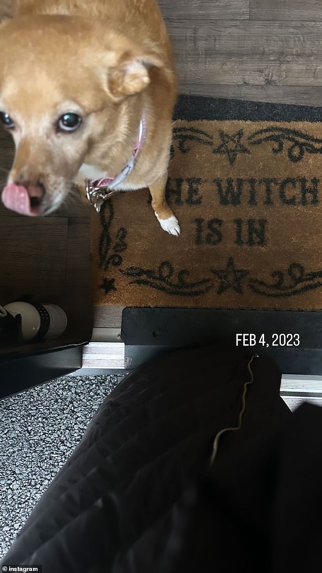 Ariana und ihr süßer Welpe sitzen auf einer Fußmatte mit der Aufschrift „Die Hexe ist da“