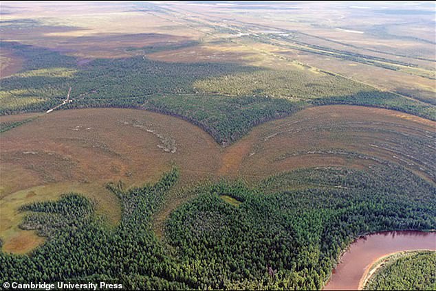 Die Siedlungen Amnya I und Amnya II wurden an der Küste des Flusses Amnya in Sibirien, Russland, entdeckt