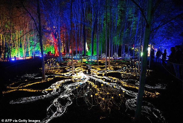 Die Öffentlichkeit erlebt ein Kunstwerk mit dem Titel „Mycelium“ auf dem festlichen Lichterpfad von Dunham Massey