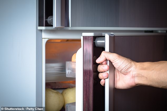 Kühlschrankbrand: Kann ein Leser von seinem Kühlschrankhersteller die Kosten für eine neue Küche verlangen, nachdem sein defektes Gerät eine Fehlfunktion hatte und einen verheerenden Brand auslöste?