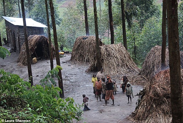 Laura Sharman von MailOnline Travel lernt Pygmäen in Uganda kennen, wo sie als Batwa bekannt sind.  Oben ist ein Foto, das sie von dem Stamm macht, dem sie vorgestellt wird
