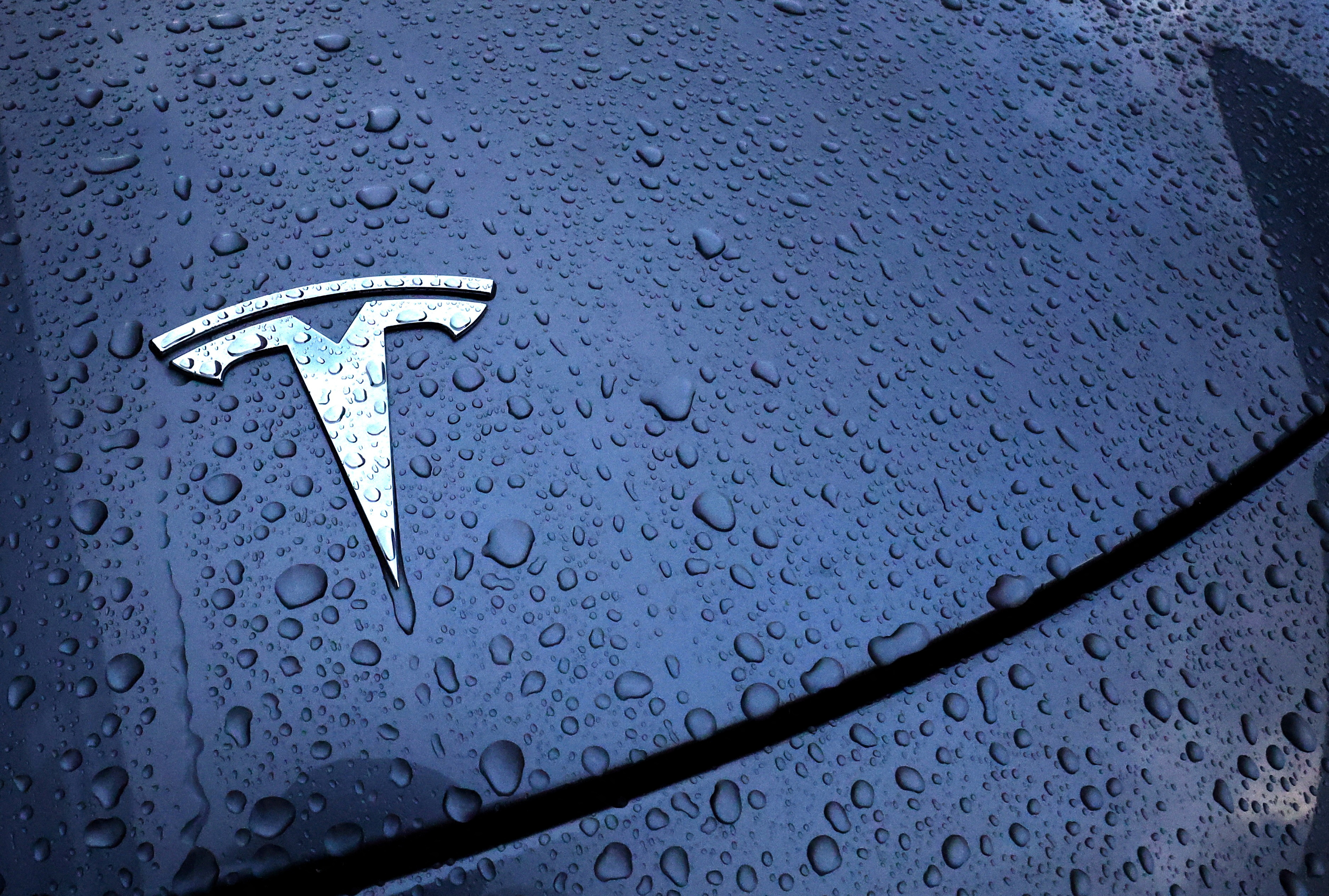 Das Logo eines Tesla-Elektrofahrzeugs ist auf einem Auto vor einem Autohaus in Drogenbos angebracht