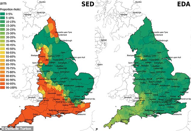 Akzente mit harten „Rs“ waren 1962 üblich (links) und umfassten Cornwall, Newcastle upon Tyne und Lancashire.  Bis 2016 (rechts) sind sie in diesen Gebieten jedoch so gut wie verschwunden.  Auf den Karten zeigen rote Bereiche Orte an, an denen der Akzent häufig vorkommt, während gelbe und grüne Bereiche darauf hinweisen, dass der Akzent weniger häufig vorkommt
